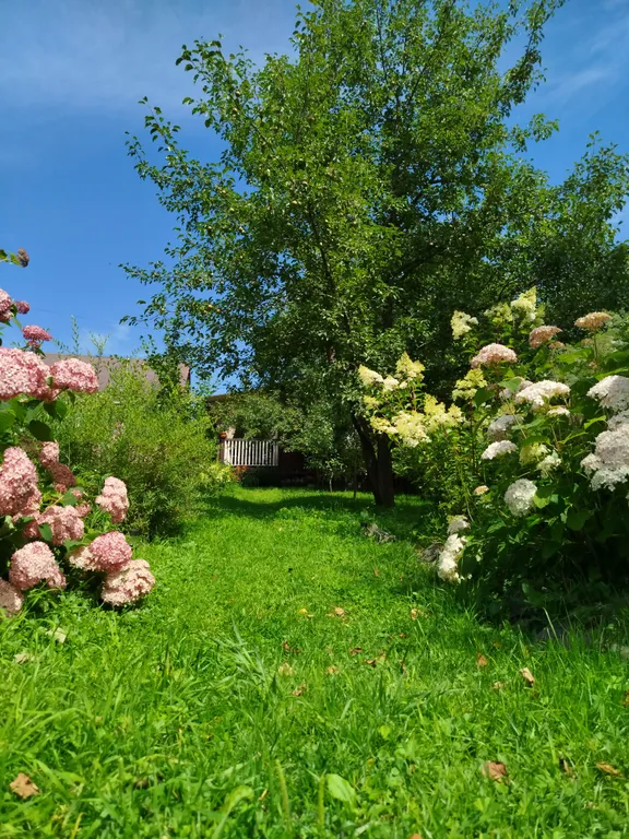 Домик в саду