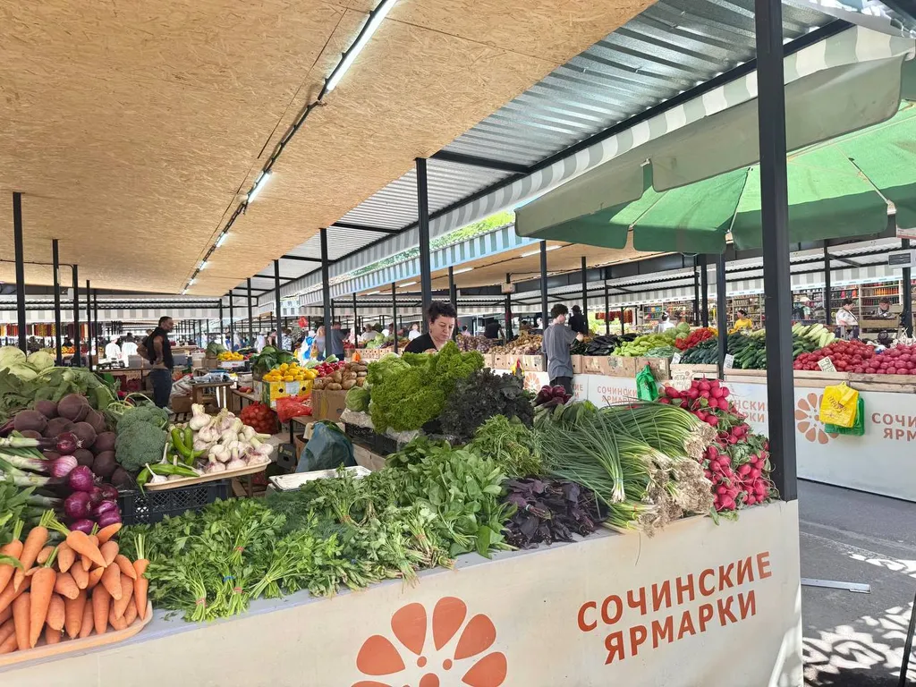 Квартира Квартира с новым ремонтом — Сочи