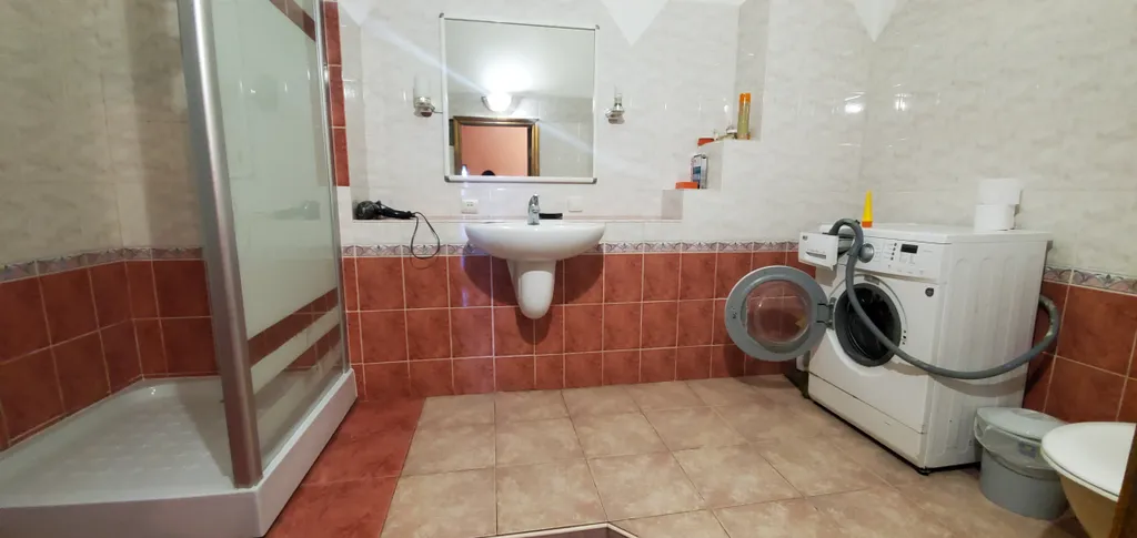 Видовой номер