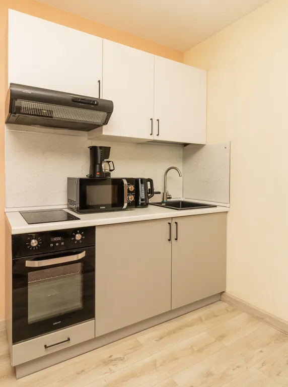 Номер-люкс Розовая пантера в апарт-комплексе Виктория