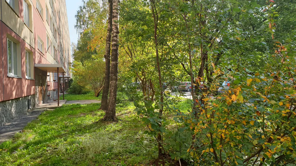 Однушка возле Международной