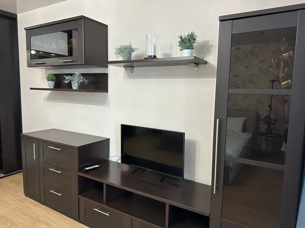 Уютные однокомнатные апартаменты