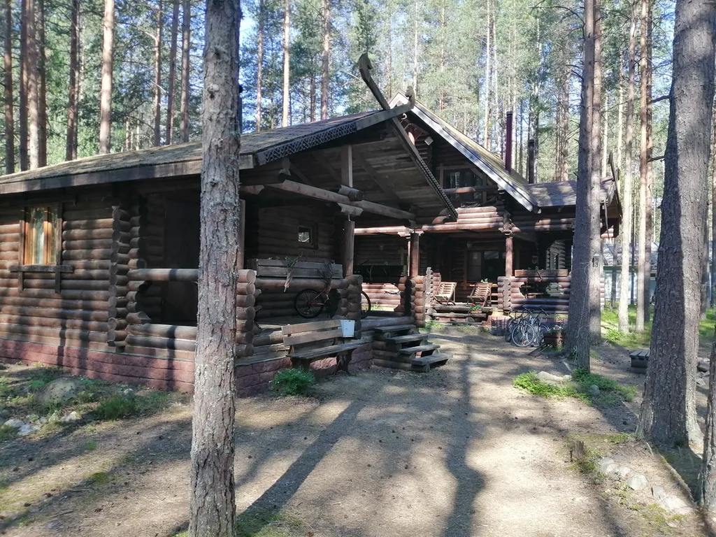 Дом Викинга