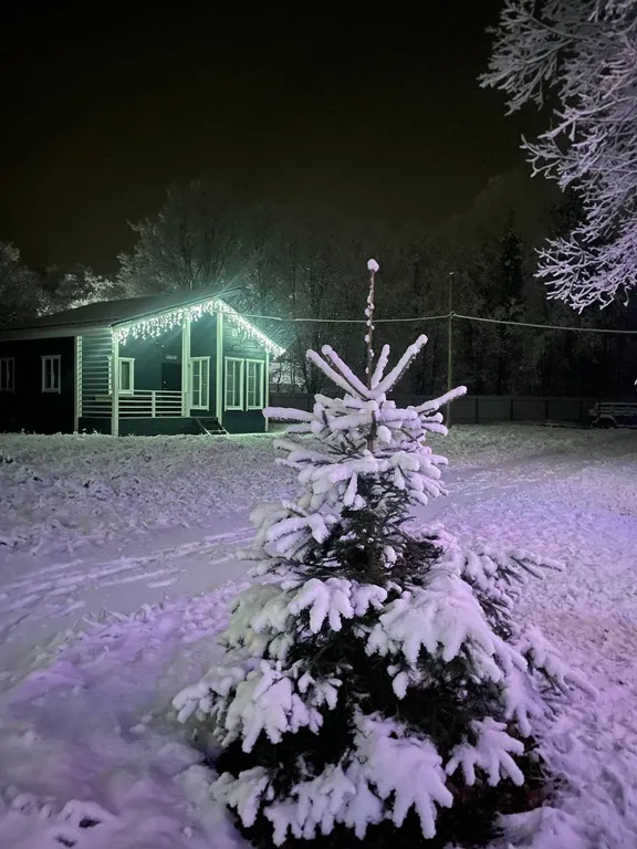 Коттедж на горнолыжном курорте