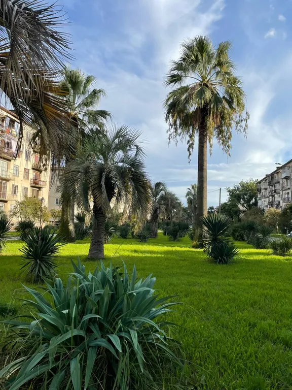 Маяк и море через дорогу