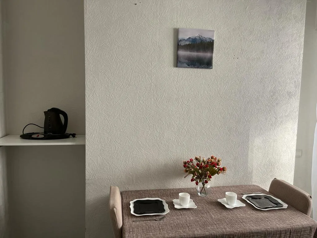 Уютная просторная квартира с джакузи в самом центре