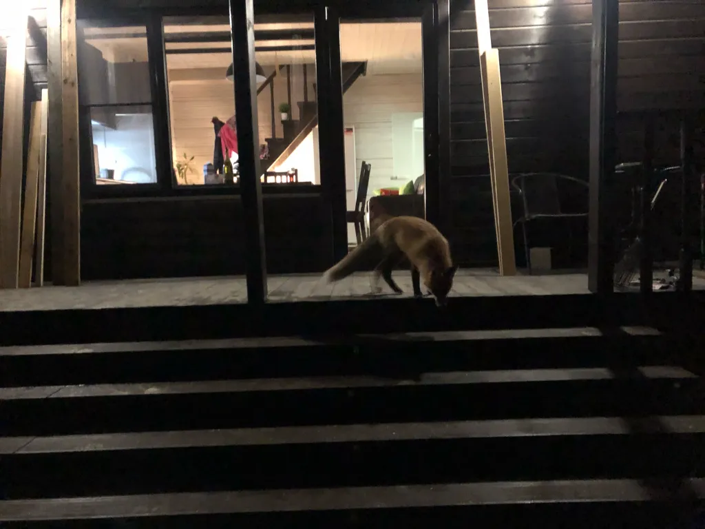 Дом на Ладоге