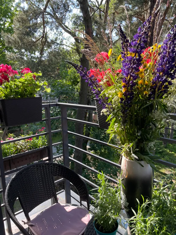 Уютная квартира для отдыха — аренда посуточно в Светлогорск