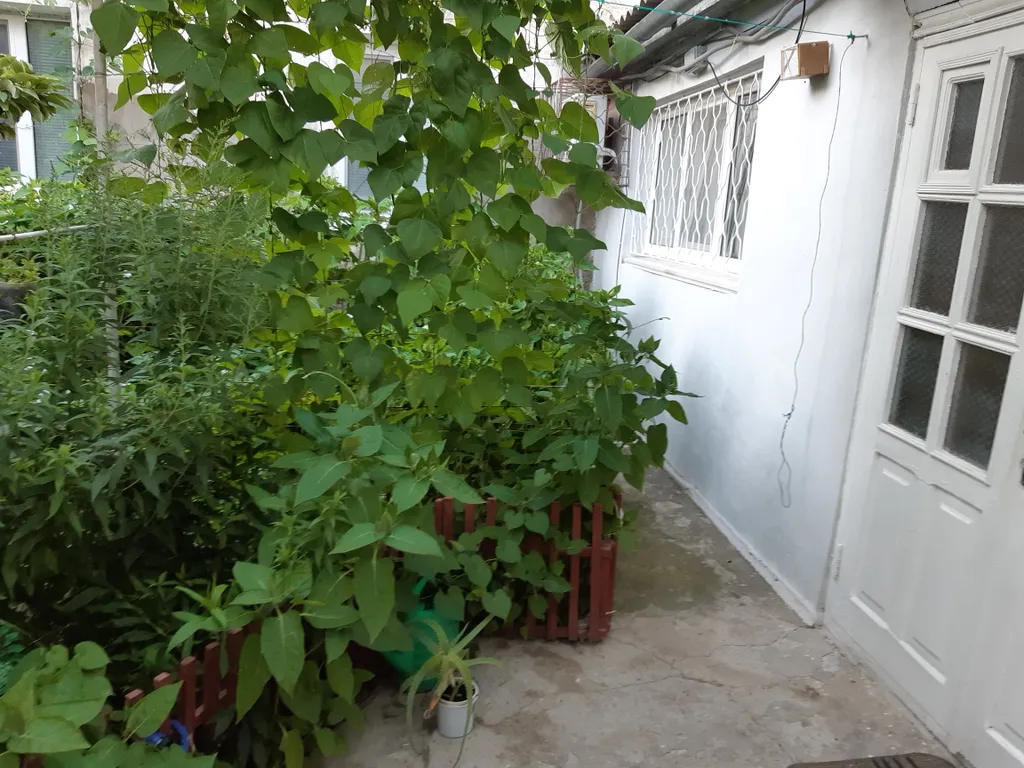 Уютный коттедж в историческом центре города