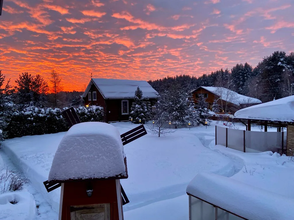 Дом у соснового леса