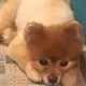 Asya