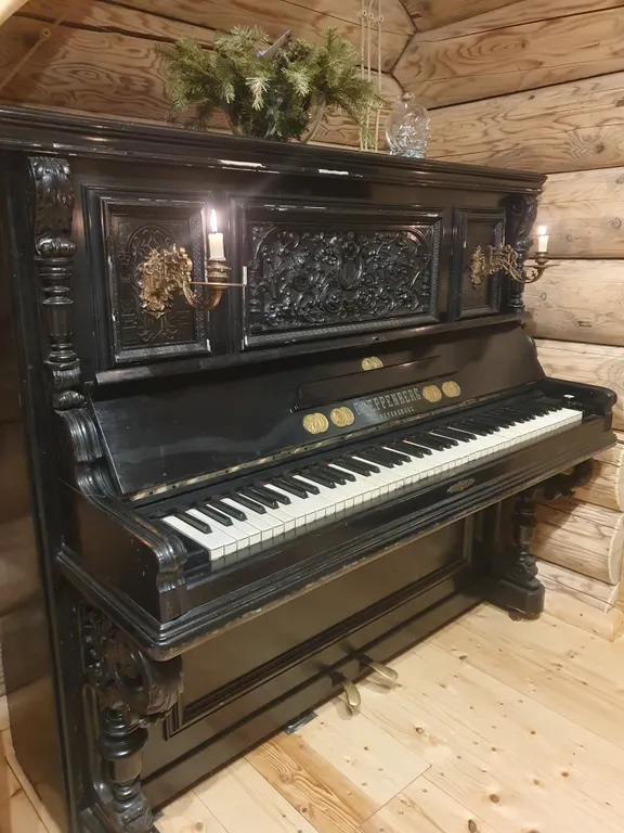 Кедровый дом с видом на горы