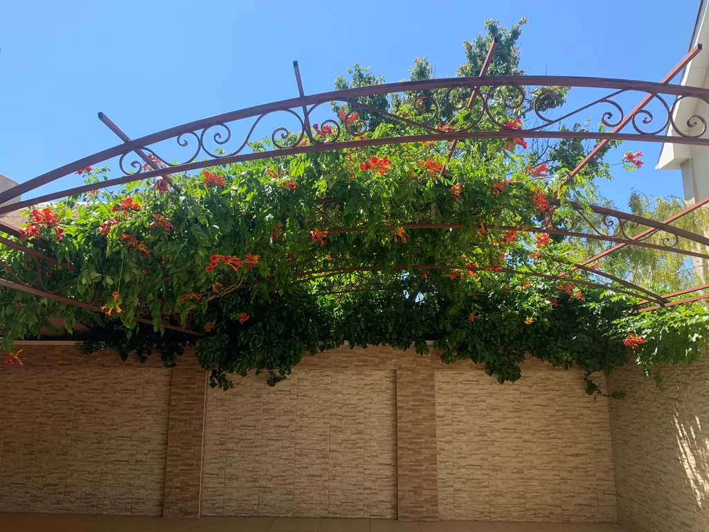 Уютная студия со своим закрытым двориком