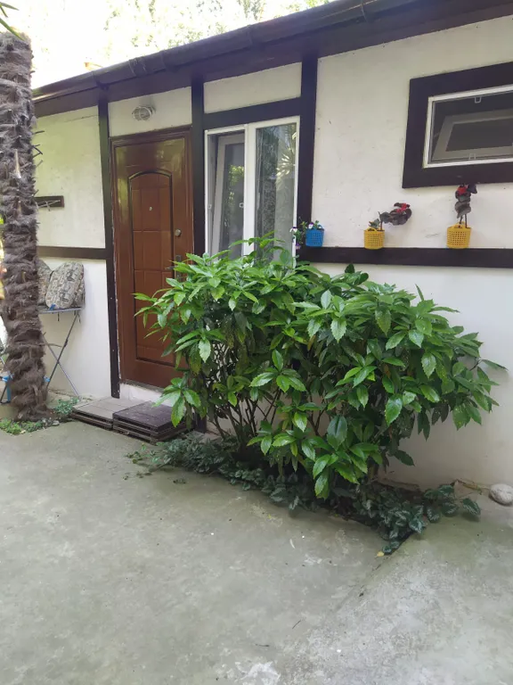 Студия в центре Ялты