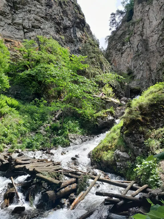 Уютная квартира с видом на горы