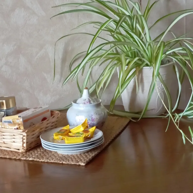 Квартира 1-комнатная Квартира — Краснодар