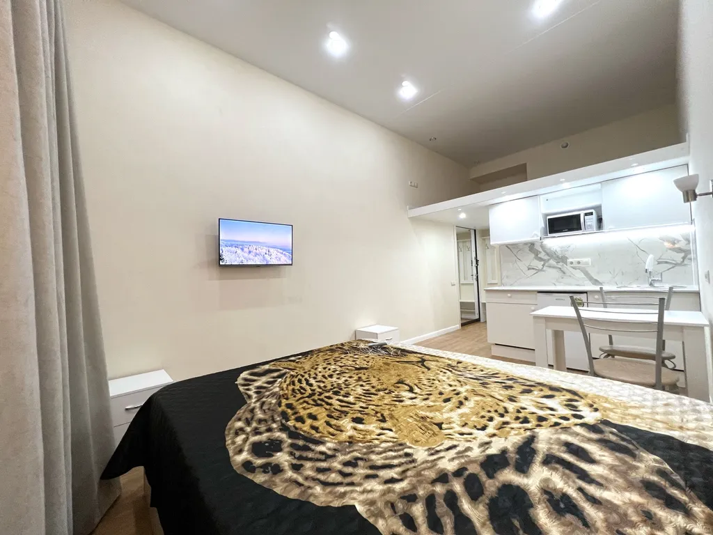 Комфортабельная студия