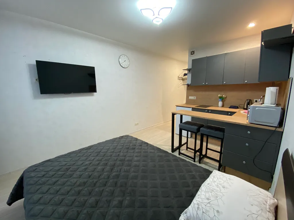 Уютная студия с видом на река Волга