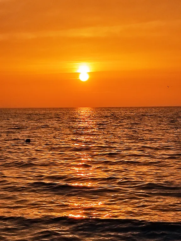 Квартира в центре у моря