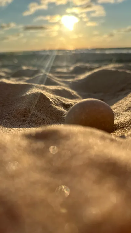 Квартира 1-комнатная Квартира — Зеленоградск