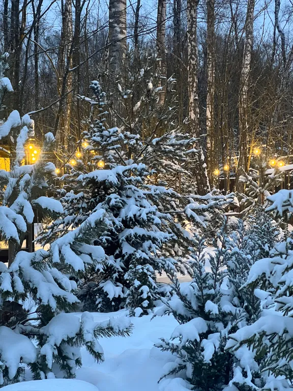 Уютный панорамный дом с баней в лесу