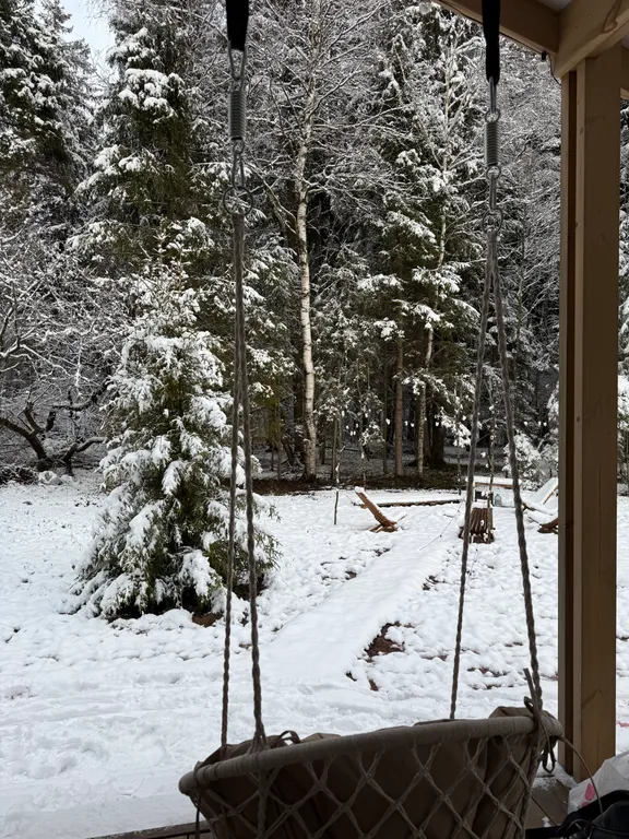 Дом с панорамным камином и видом на лес