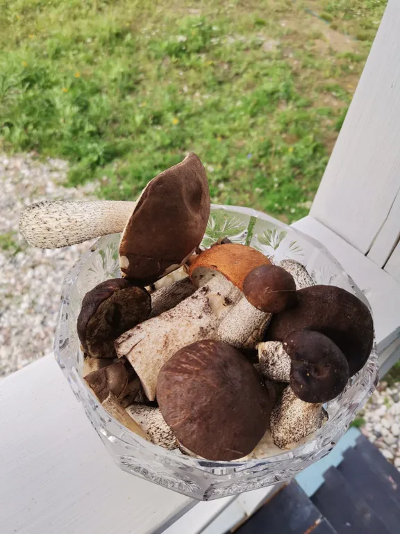 Дом у озера