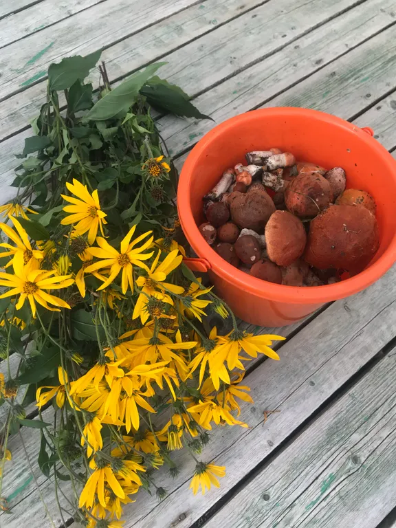 Коттедж Дом на берегу реки Волхов — Волхов