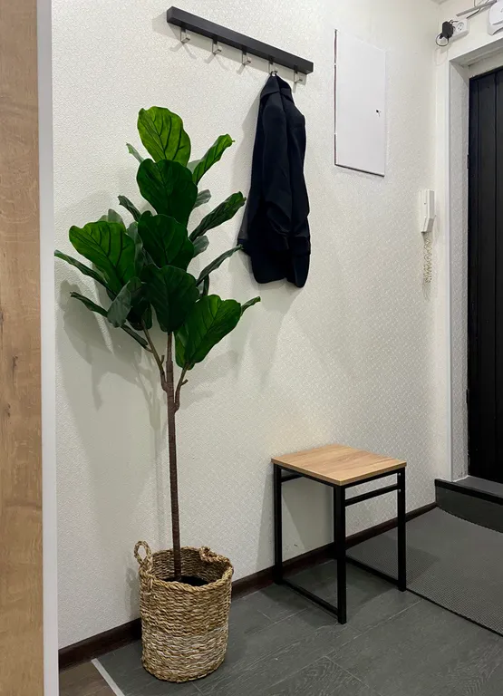 Евродвушка Petra Apartment