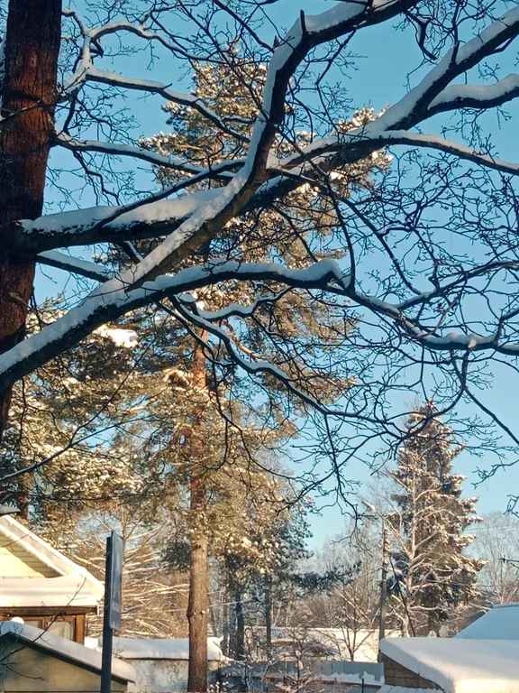 Квартира Квартира от собственника в Курортном районе, Песочный — Песочный