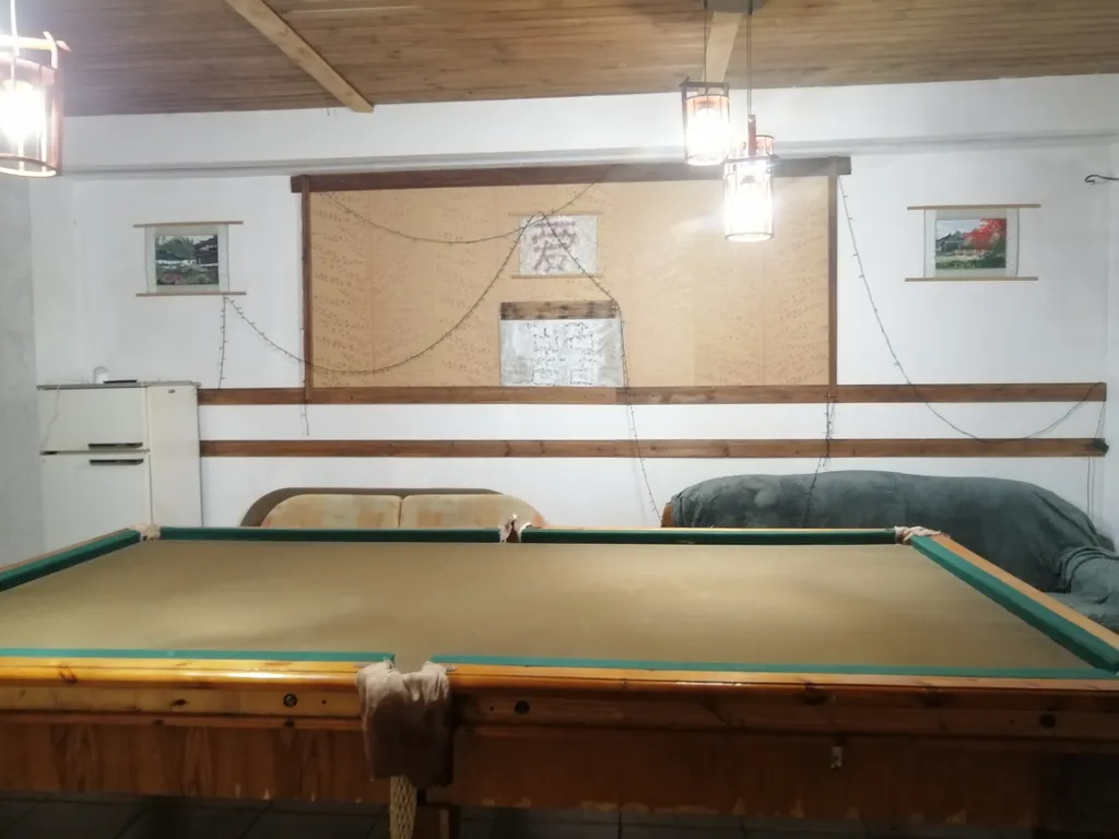 Дом с баней, бильярдом и бассейном