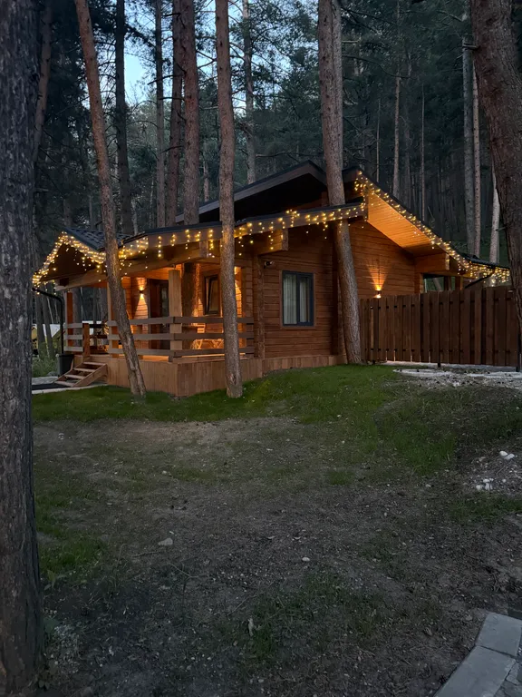 Дом 70m2 — чан с нарзаном, терраса, Wi-Fi