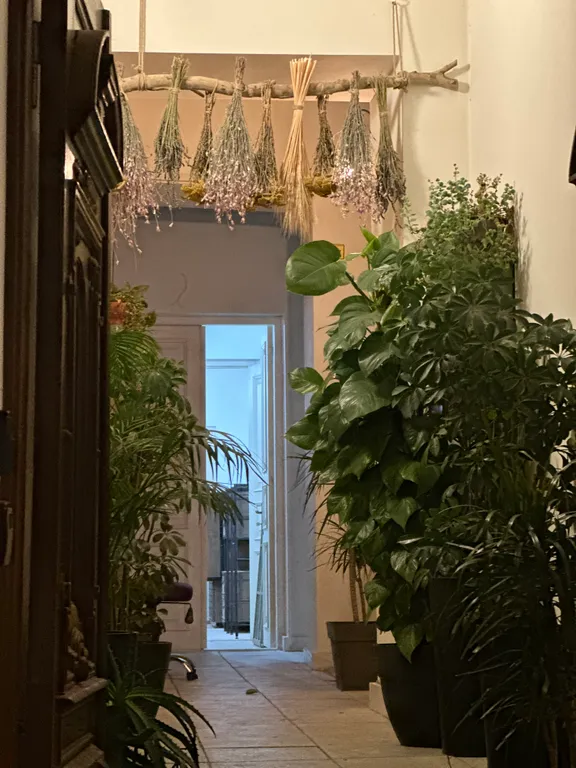 Apartment Gudiashvili square