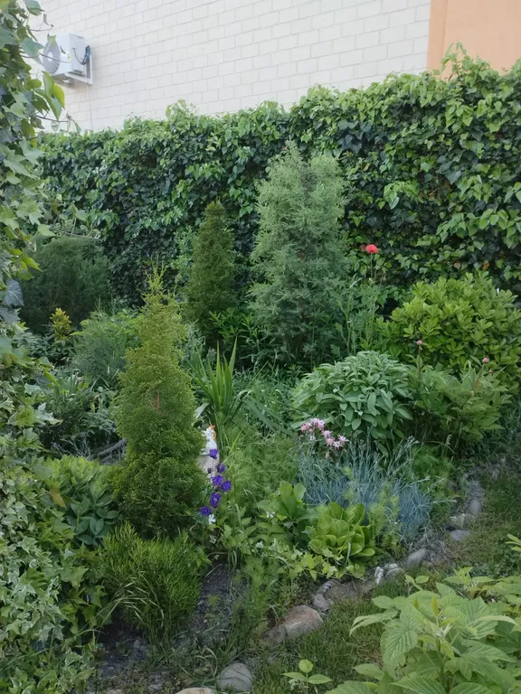 Уютный номер студия в стиле прованс