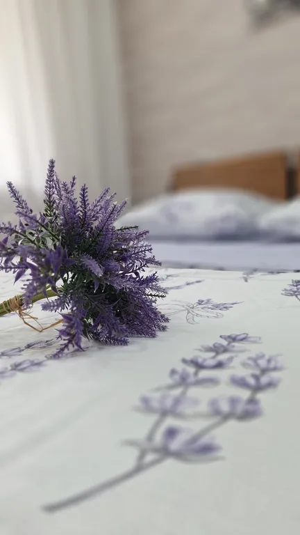 Уютная, светлая квартира в центре Дальнего Засвияжья