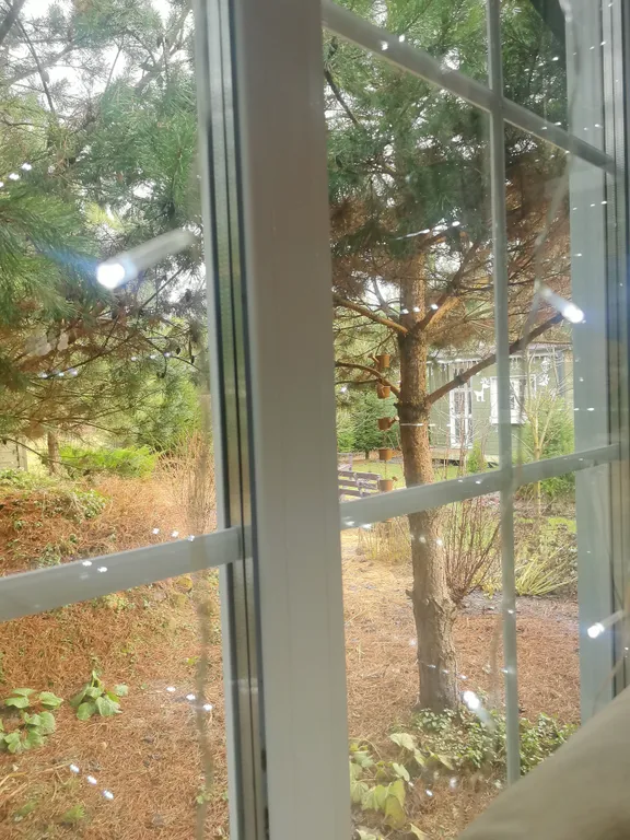 Гостевой фотодом Зазеркалье