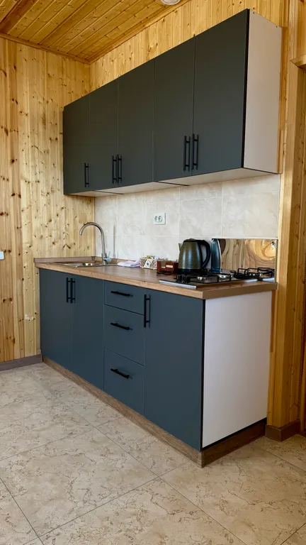 Дом с бассейном и баней