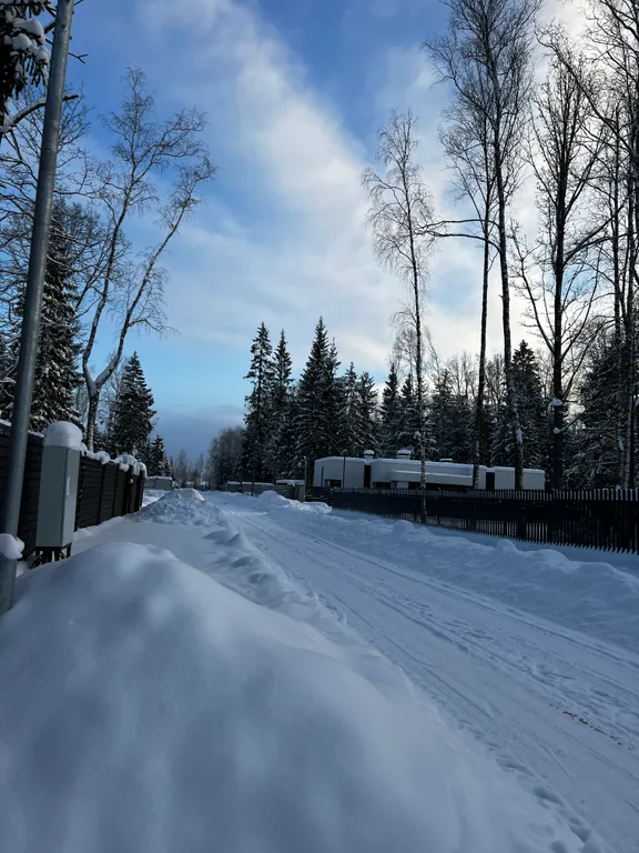 Просторный дом с камином в сосновом лесу