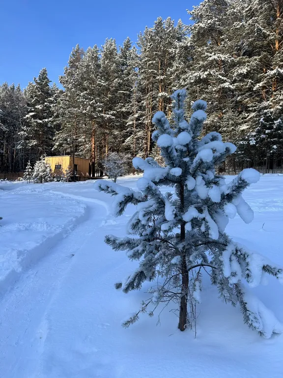 Дом баня на дровах