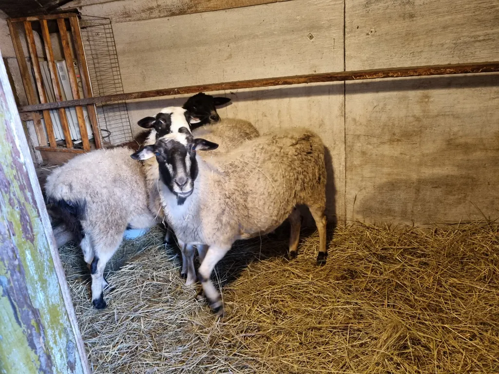 Коттедж Домик в деревне — Соколова