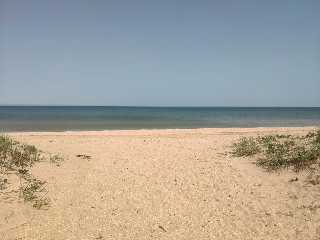 Гостевой дом Пиратская гавань в Нижнезаморском: 🔥 цены, фото, отзывы.  Забронировать номер в отеле Пиратская гавань — Суточно.ру