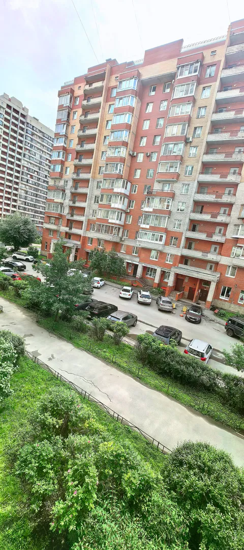 Вид из окна