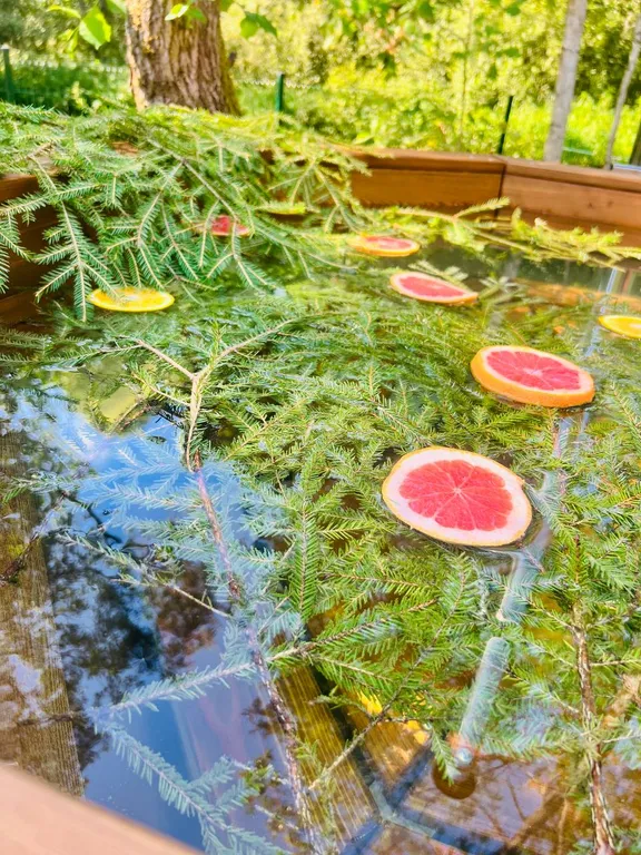 Медвежий угол