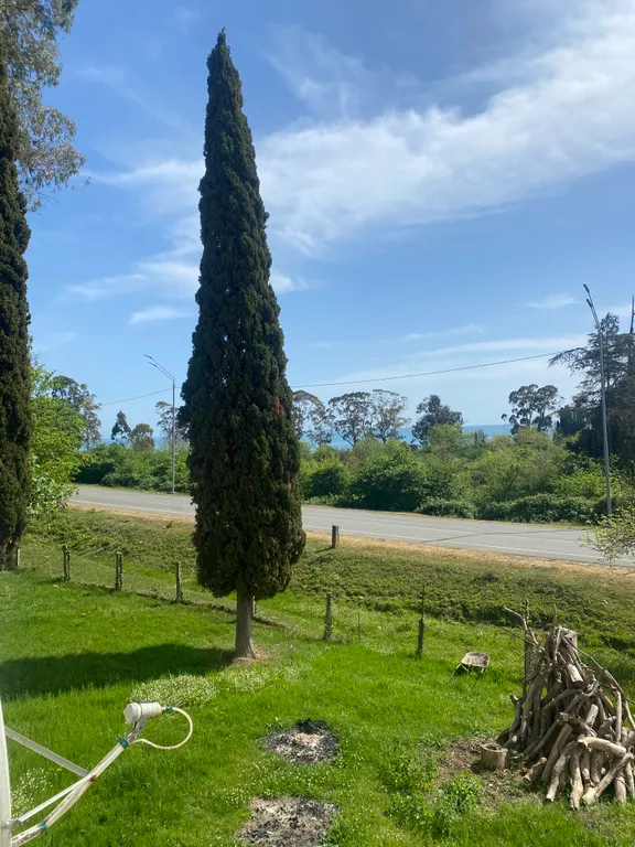 Улучшенный номер с видом на море