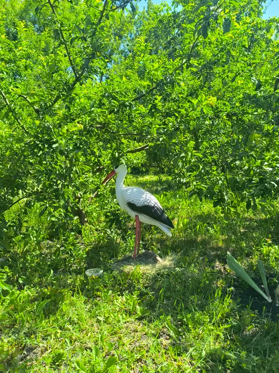 Домик в саду