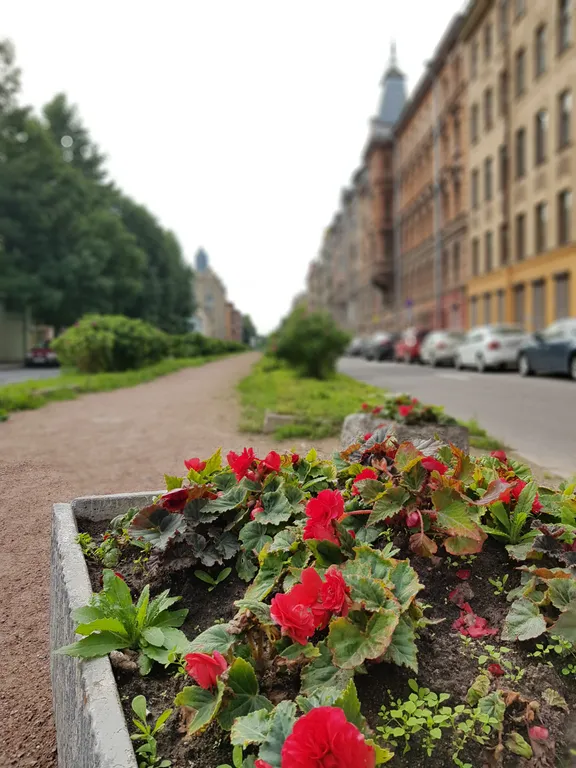 Квартира 1-комнатная Квартира — Санкт-Петербург