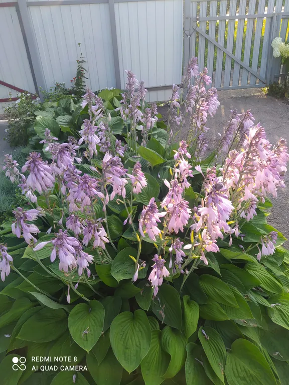 Уютная квартира рядом с монастырем, с отдельным входом  от соседей.