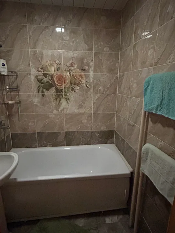 Однокомнатная в Засвияжье