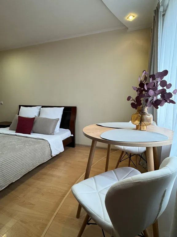 Апартаменты Созвездие Камчатки на красной линии с видом на вулканы