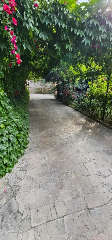 Солнце Ялты